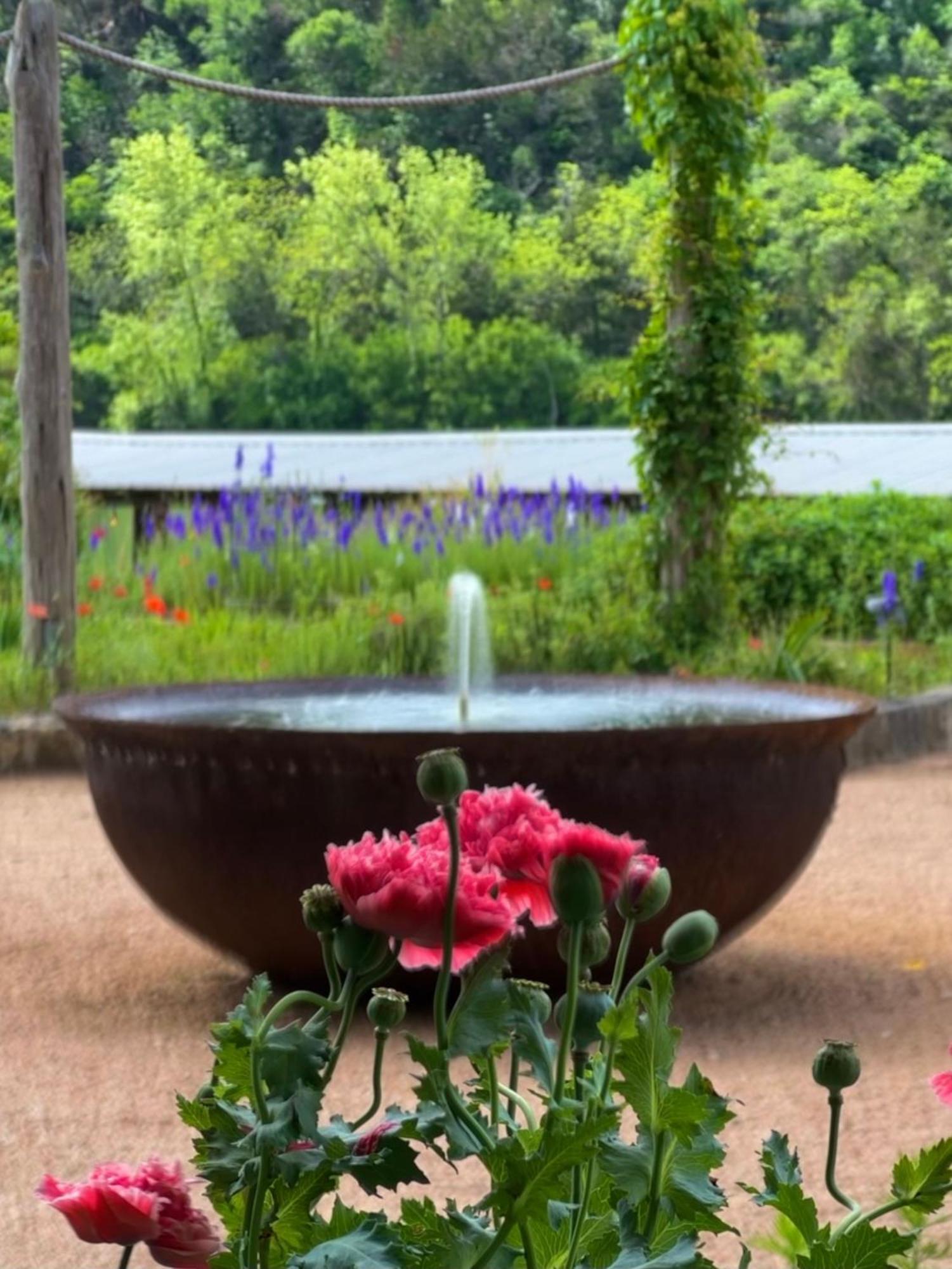 Lake Austin Spa Resort Eksteriør billede